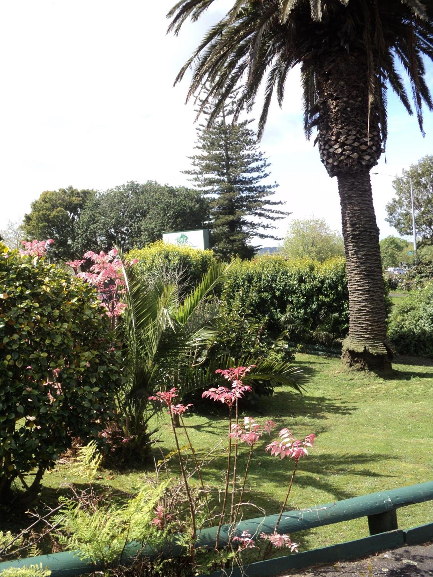 New Haven Motel Auckland Eksteriør bilde
